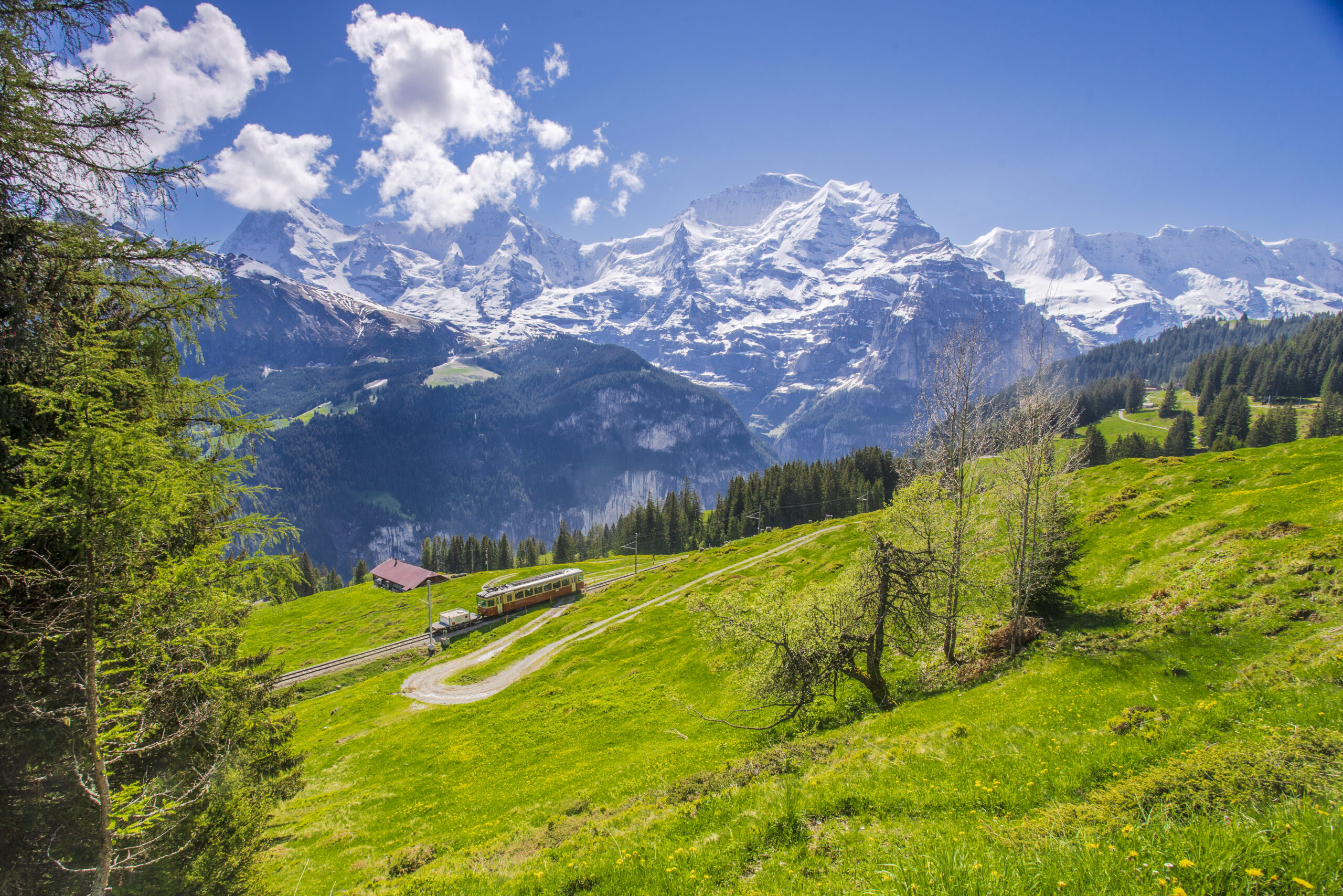 A Magical Escape to Manali: A Journey Through the Himalayas